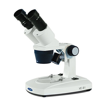 Microscopio estereoscópico