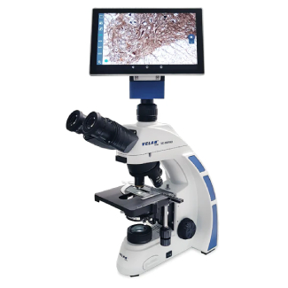 Microscopio digital