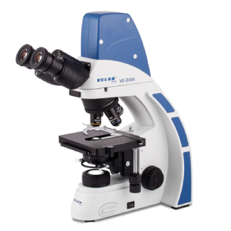 Microscopio digital