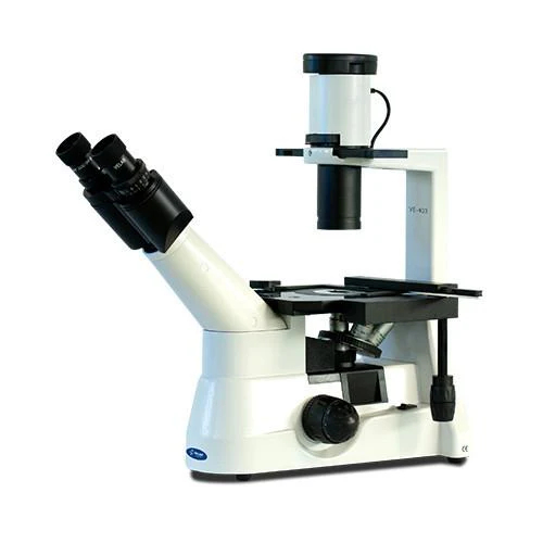 Microscopio invertido